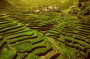 Doing Business in the Philippines 2024