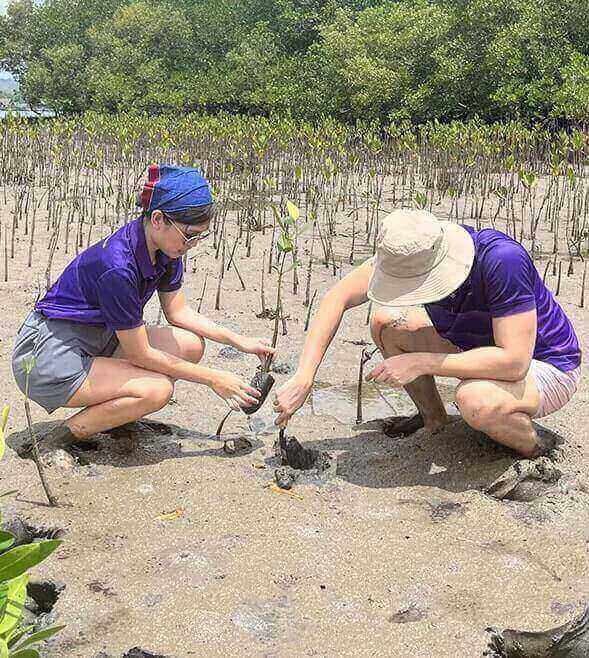 P&A Grant Thornton Unveils Inaugural Sustainability Report: A Bold Step Toward Purpose-Driven Leadership