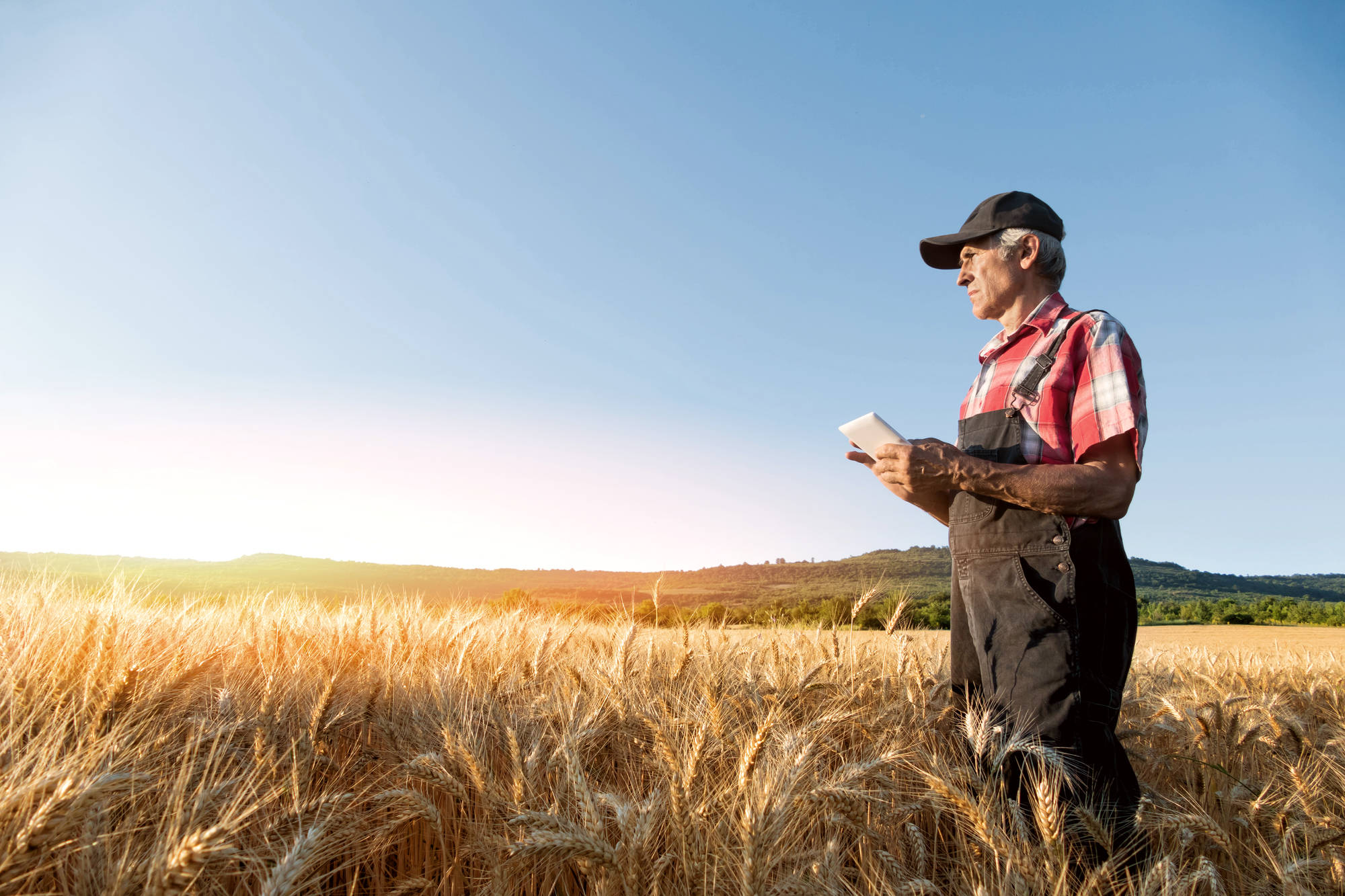 Transforming Philippine agriculture