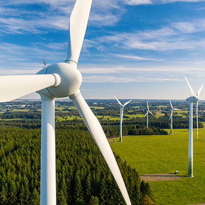 Metamorphosis: A new era of sustainable leadership